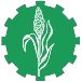Sorghum Sudan Grass Icon