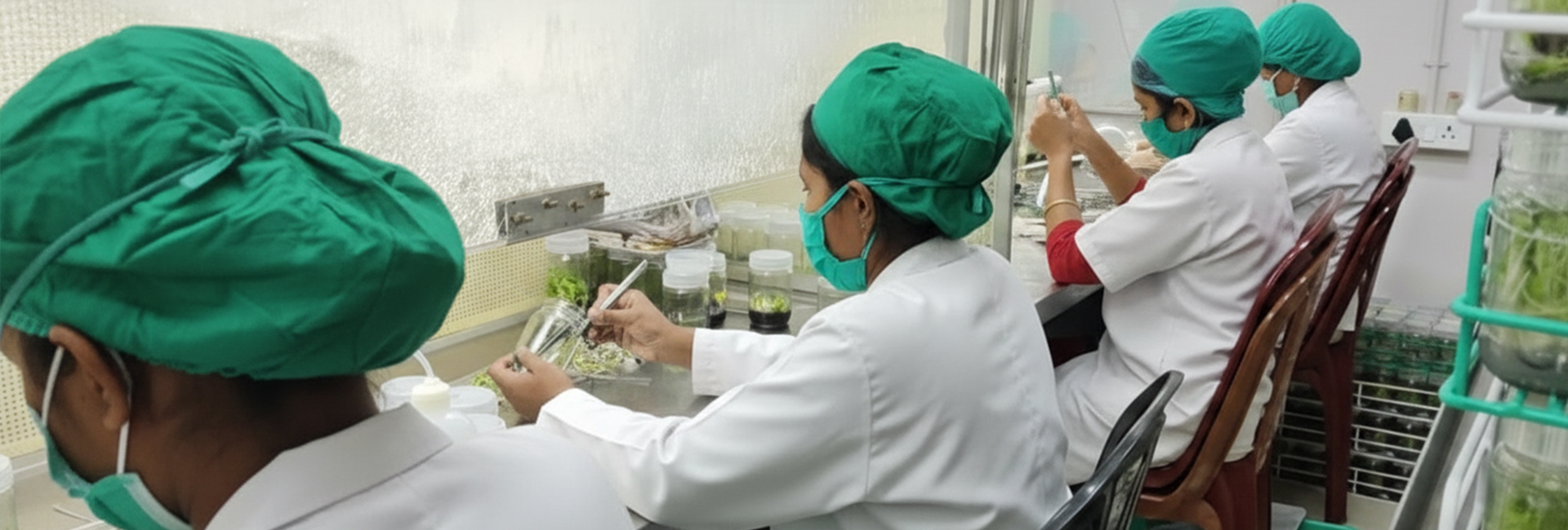 Tissue-Culture-Lab-Banner