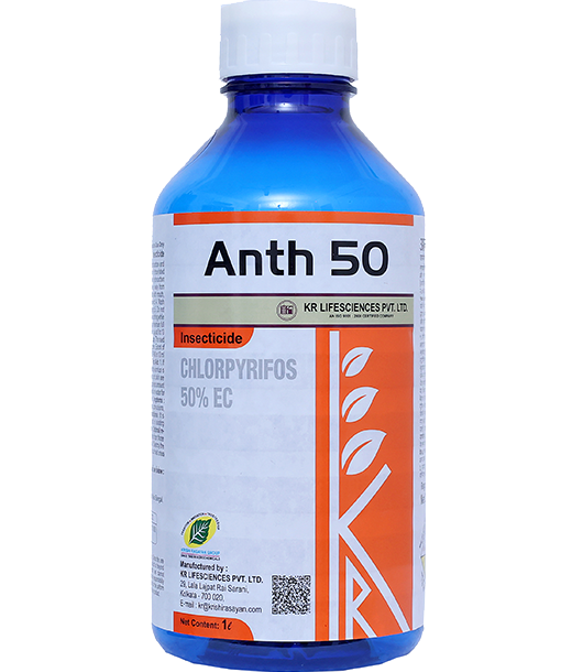 anth-50
